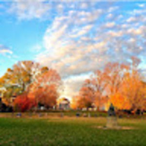 Meet your Posher, Tess